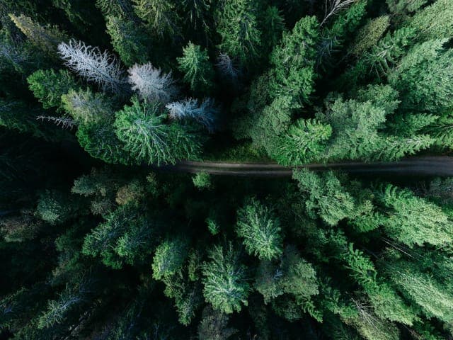 Driving the Cabot Trail: Clockwise vs Counter-Clockwise