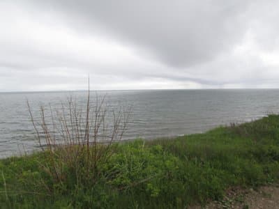 Coastal Trail