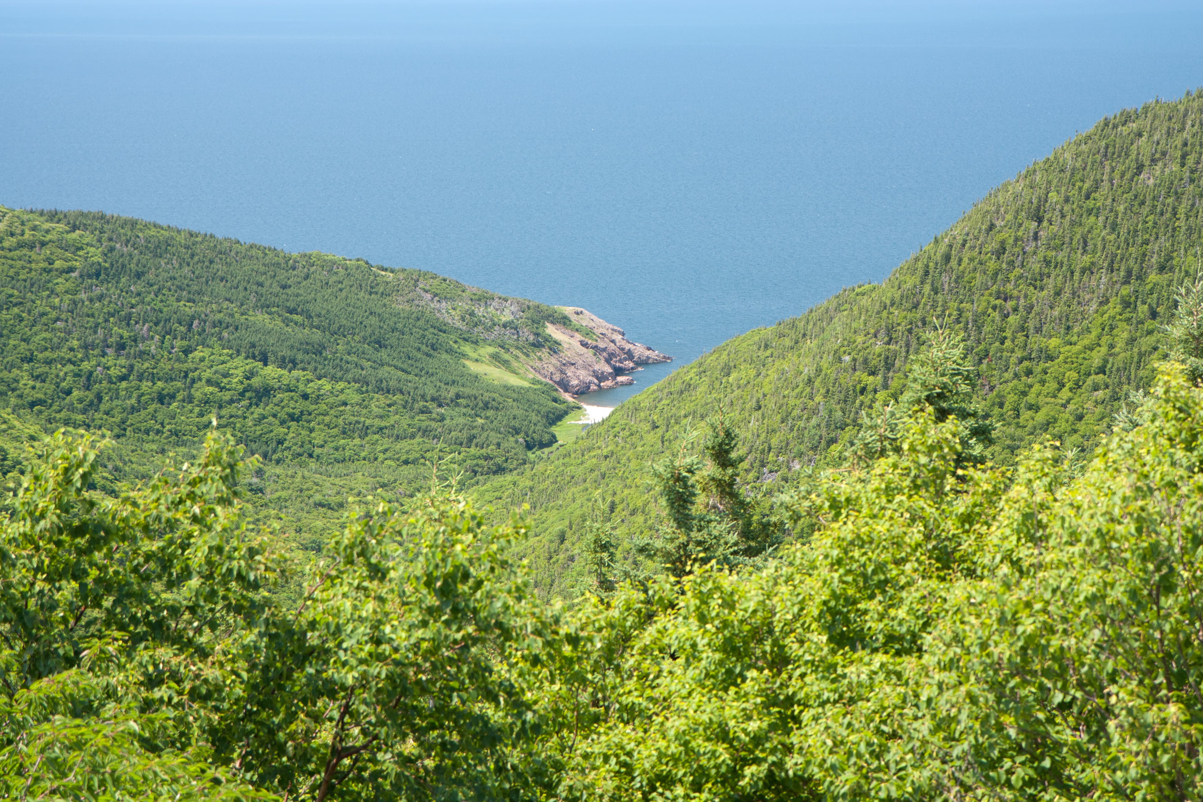 Fishing Cove Trail