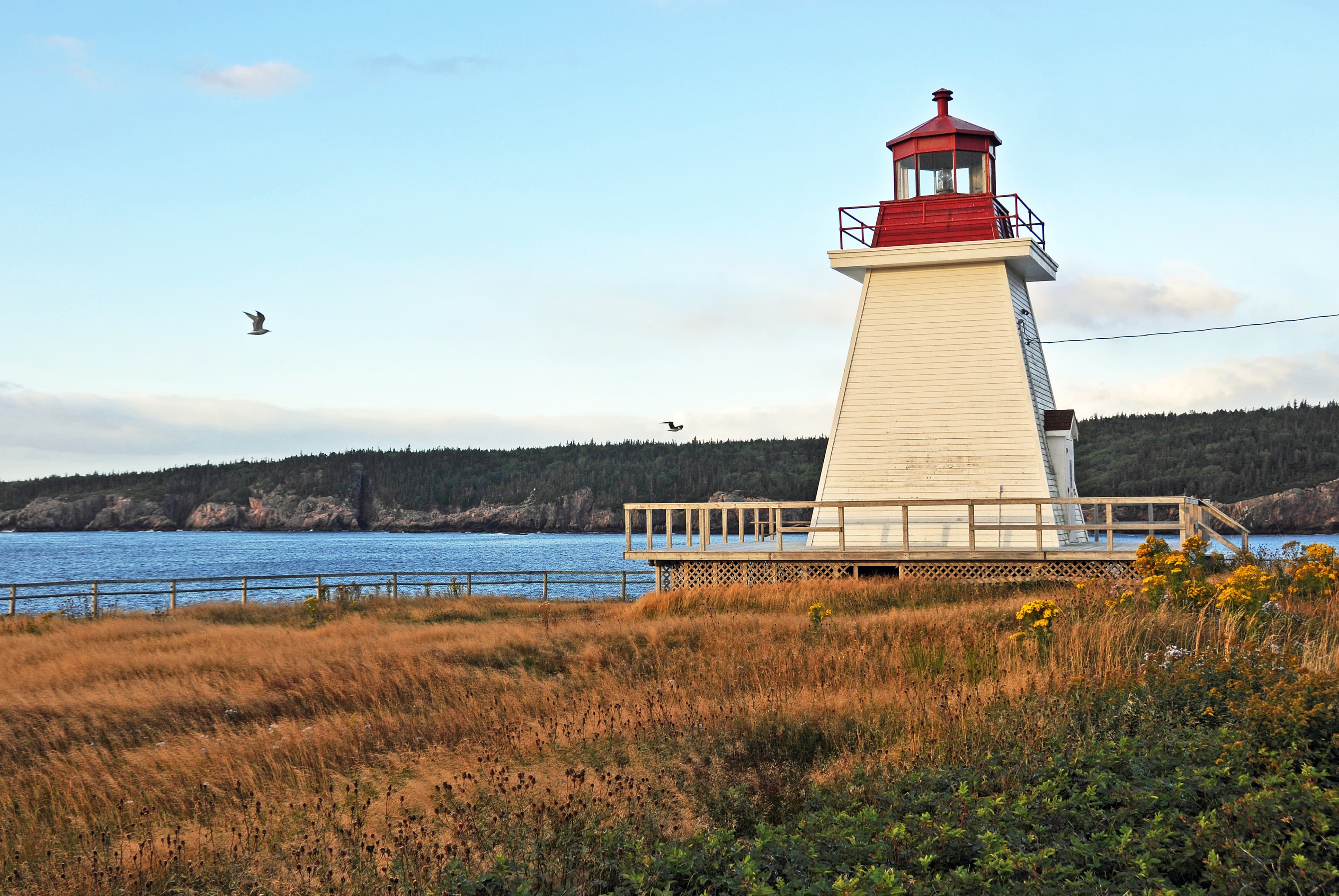 Neil's Harbour Lighthouse