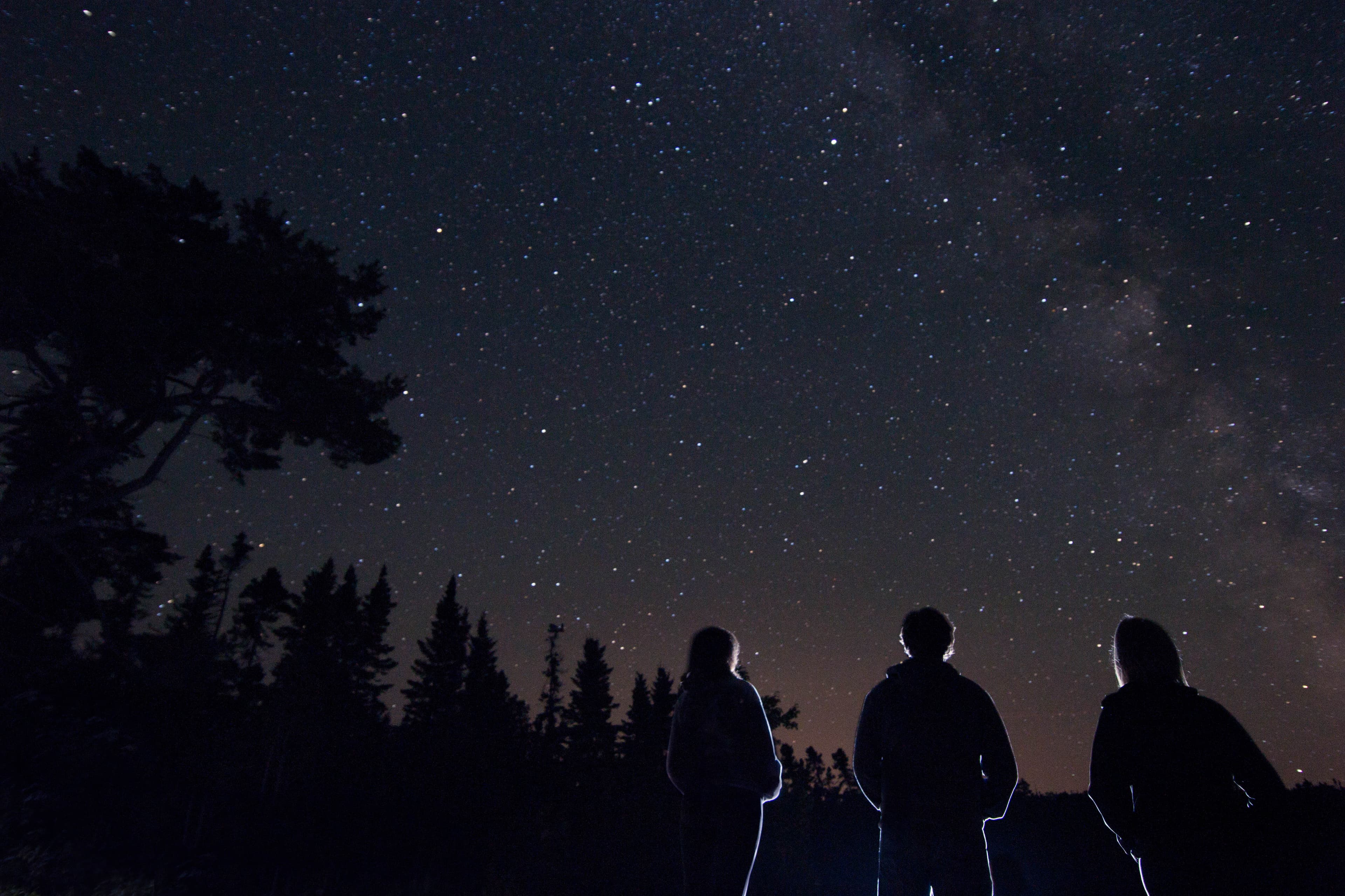 Star Party at Bog Trail