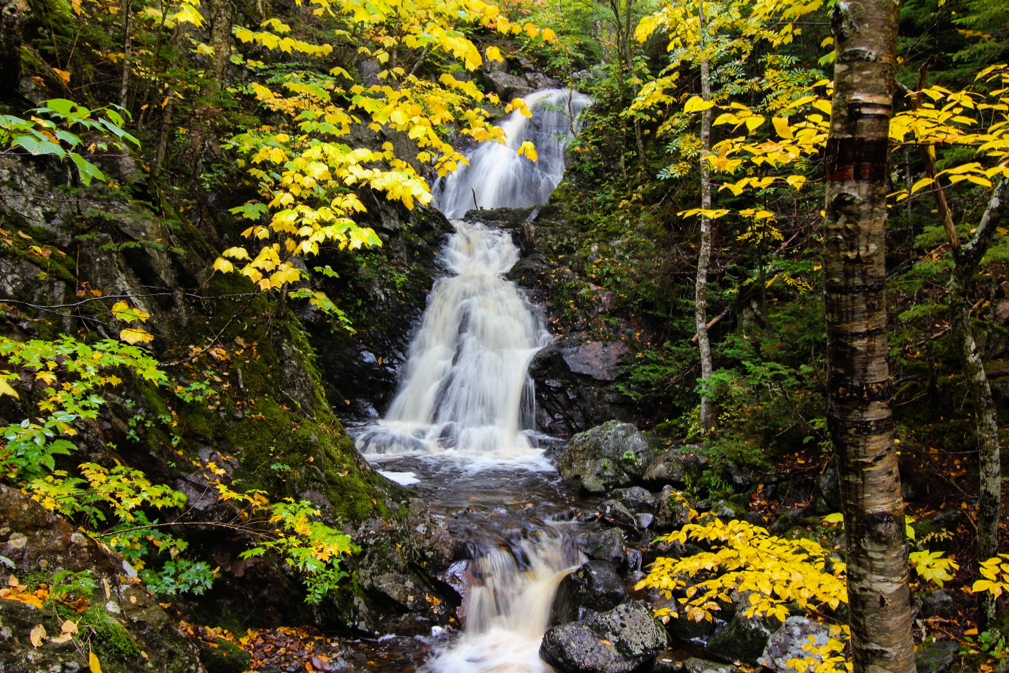 Celtic Colours Guided Hike: Corney Brook — event in Chéticamp & Margaree, Cape Breton