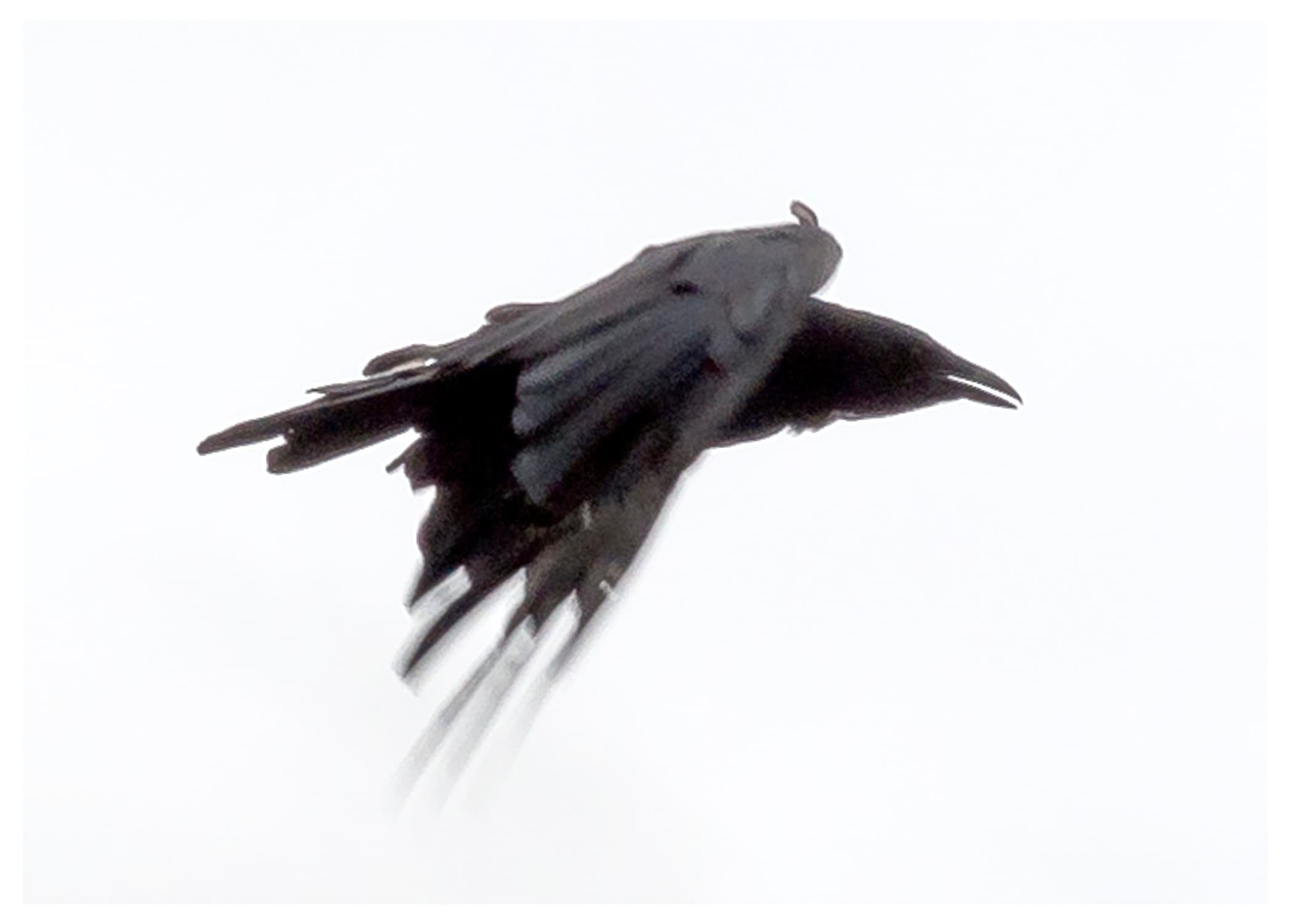 Rituals of Flight