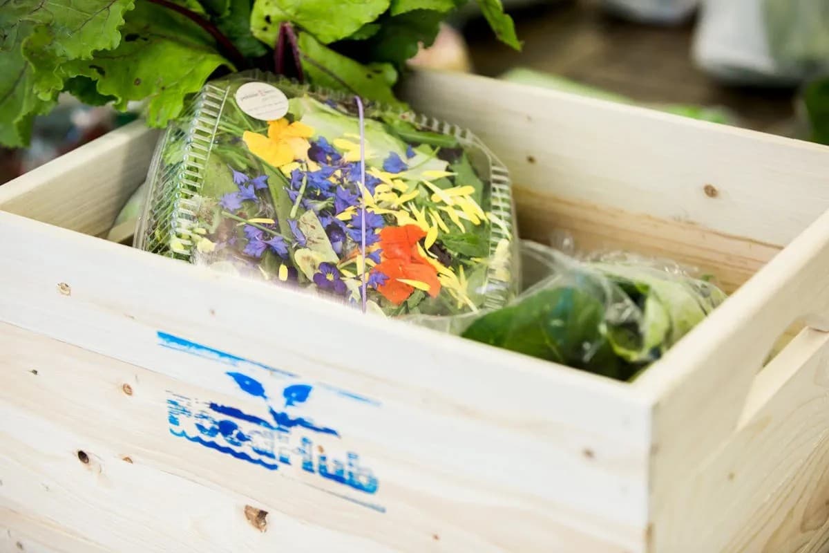 Pop Up Summer Markets at the Hub! — event in Sydney & CBRM, Cape Breton