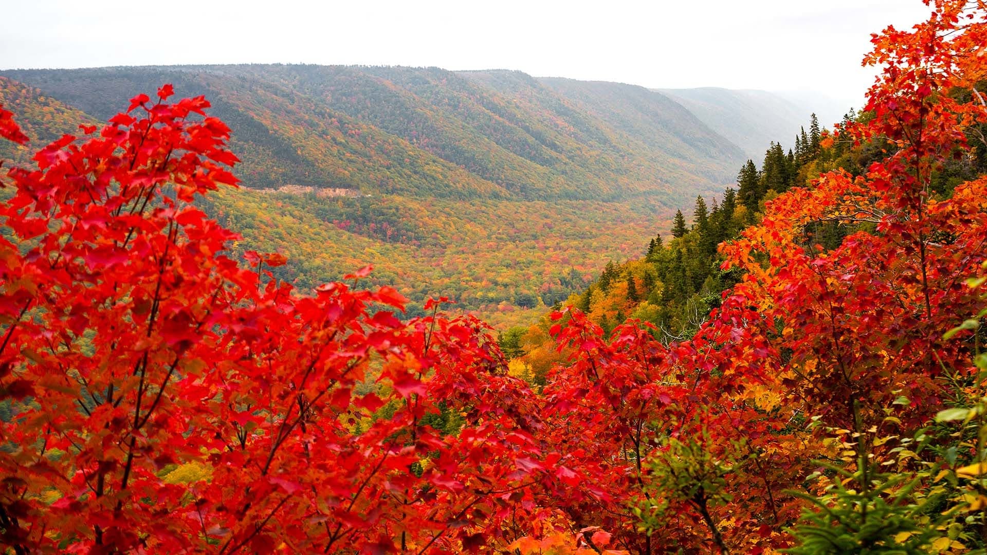 Celtic Colours Guided Hike: Aspy Trail — event in Cabot Trail, Cape Breton