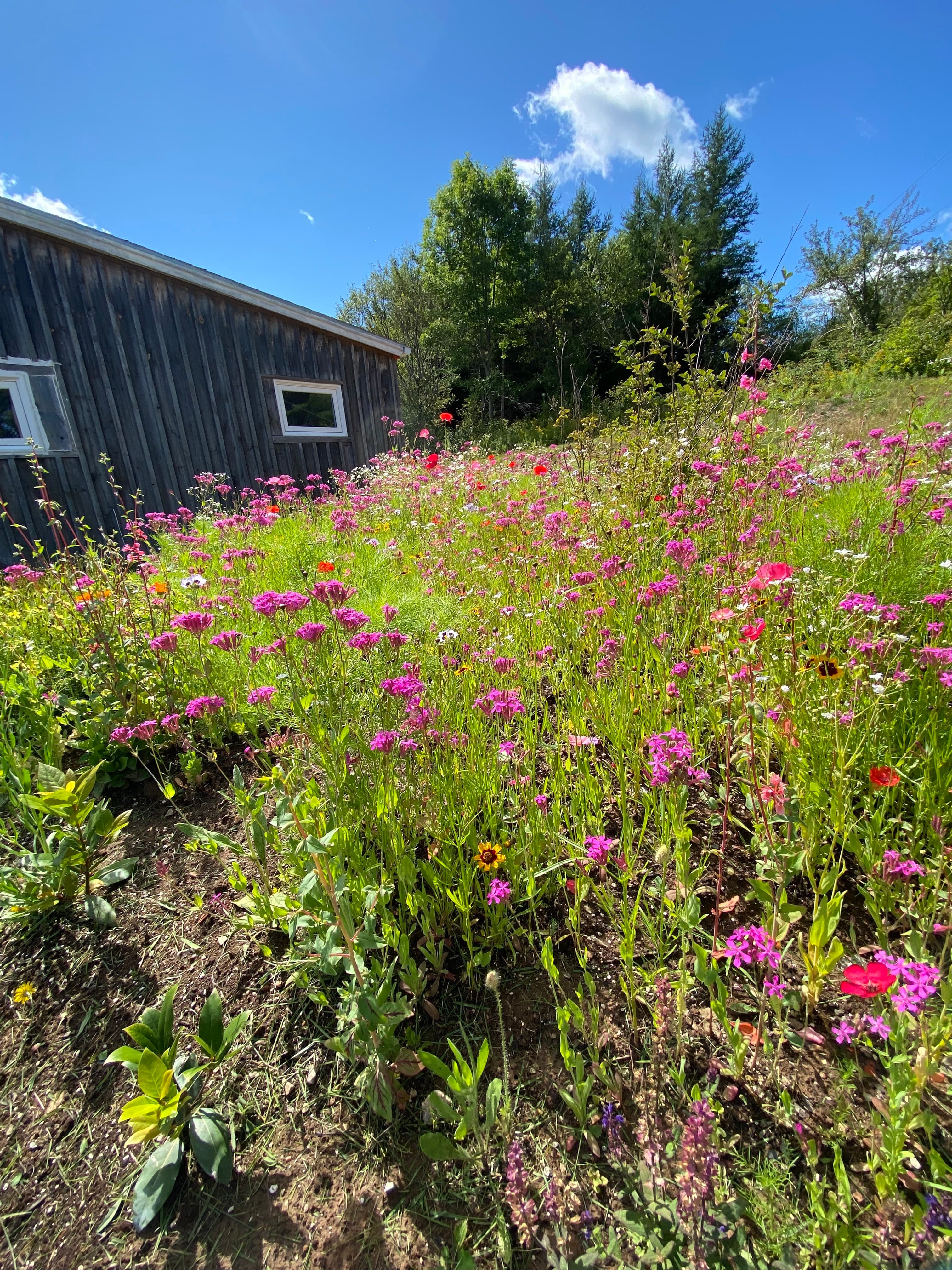 The Shackteau in Margaree Forks — accommodation in Cape Breton