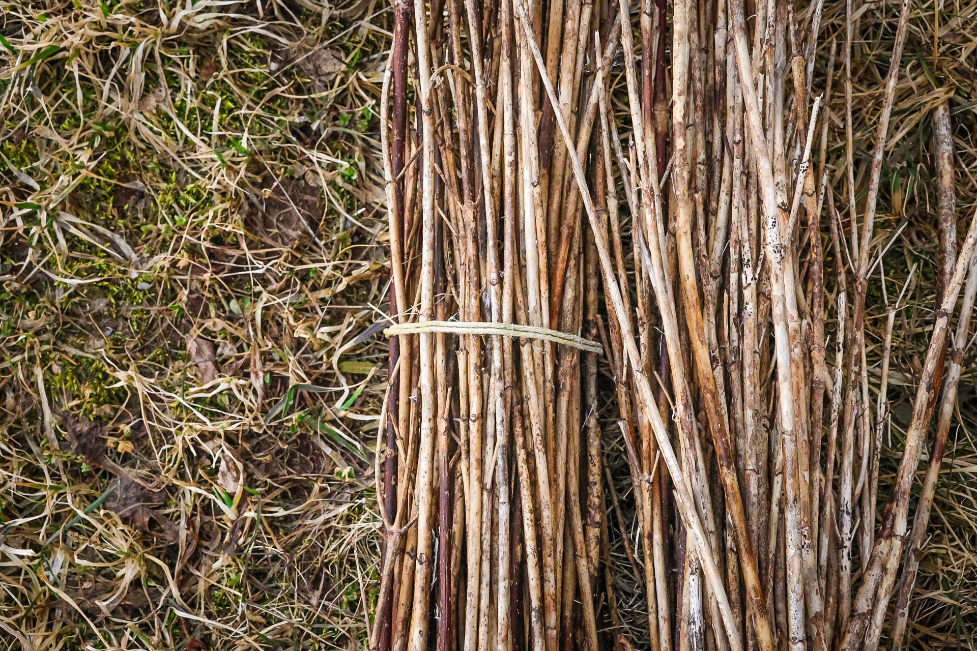Celtic Colours: Weaving Our Tales — event in Chéticamp & Margaree, Cape Breton