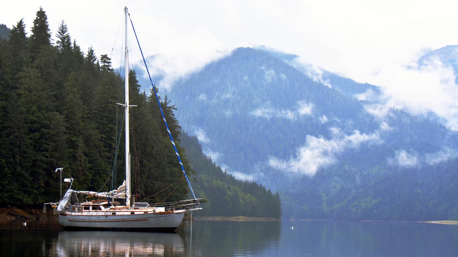 Cruise and Learn Adventure Sailing School — attraction in Baddeck & Bras d'Or Lake, Cape Breton