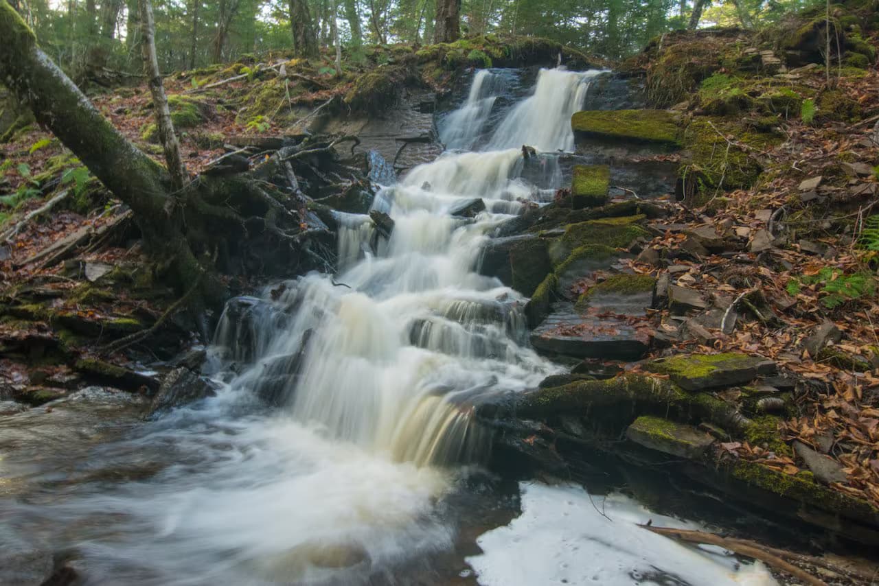 Embree’s Brook Falls