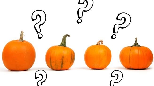 Friendly Spook Feud — event in Strait Area, Cape Breton