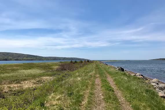 Ghost Beach