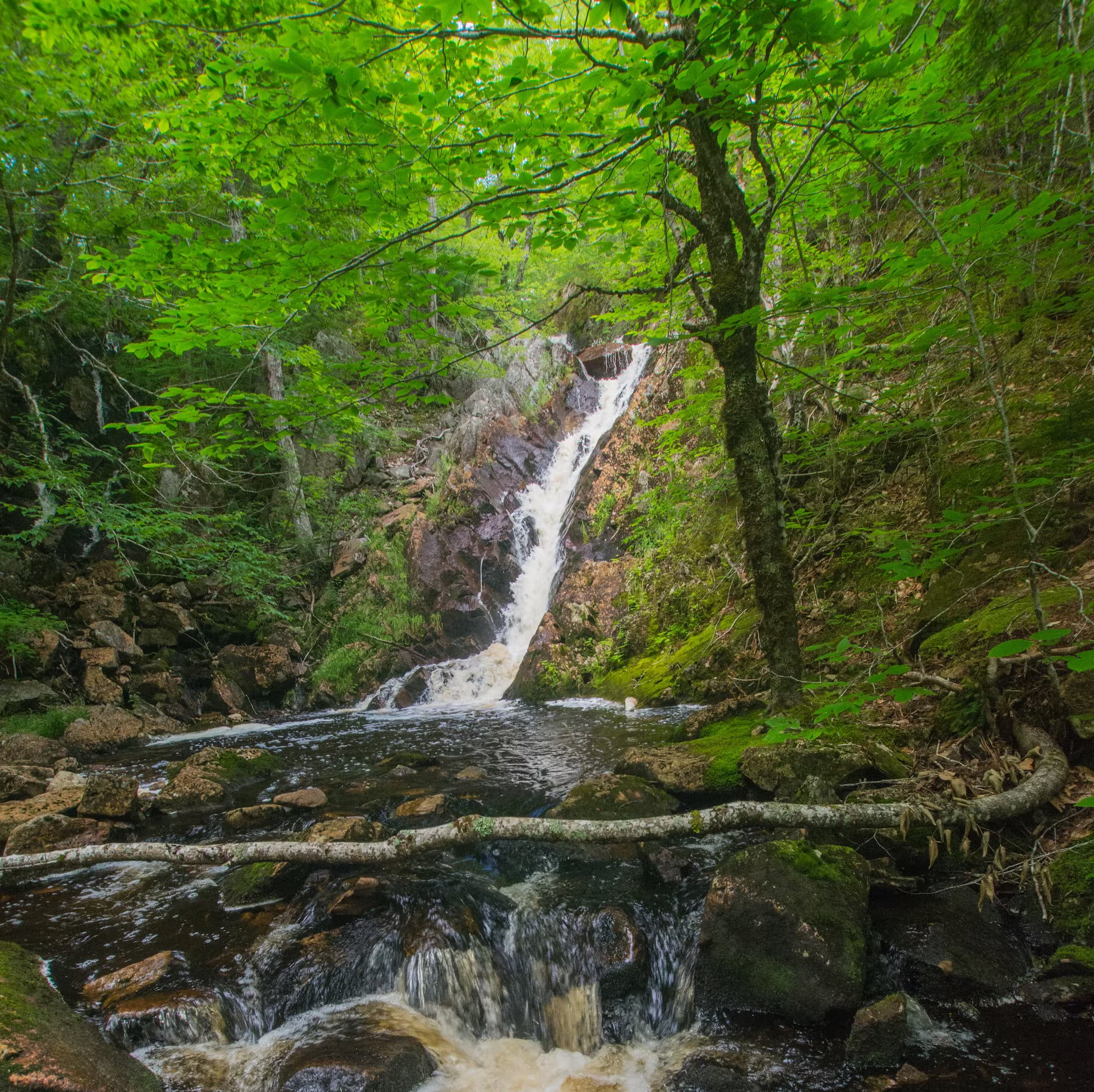 Hill Lake Brook Falls