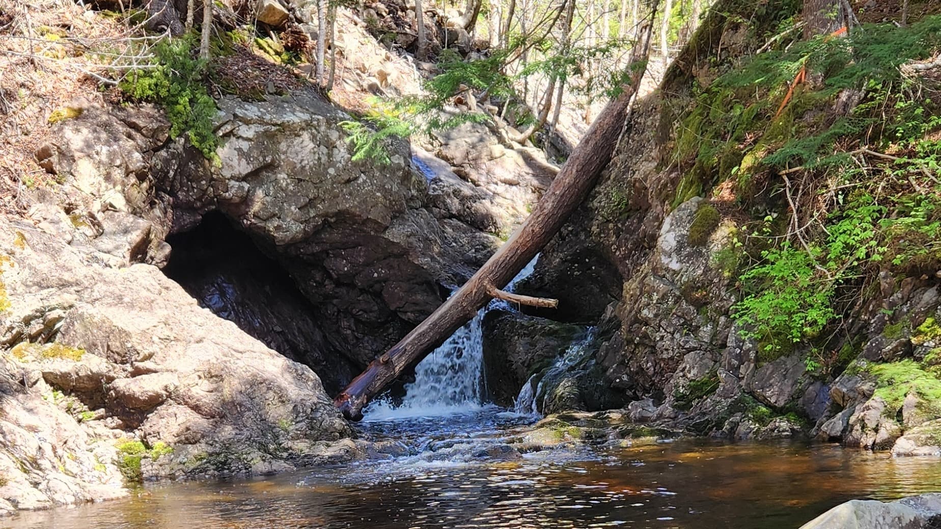 Irish Cove Brook Falls