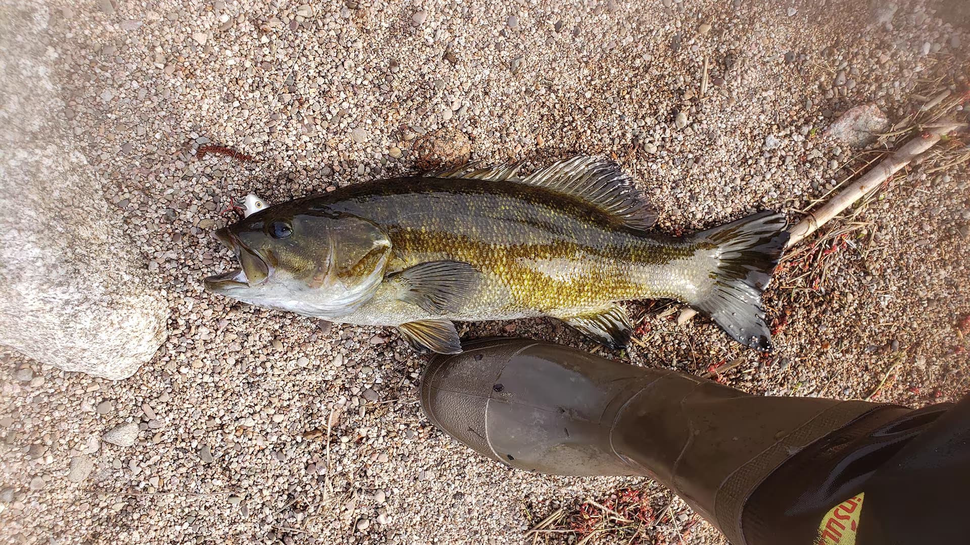 Jed The Fishing Guide — attraction in Inverness & Western Shore, Cape Breton