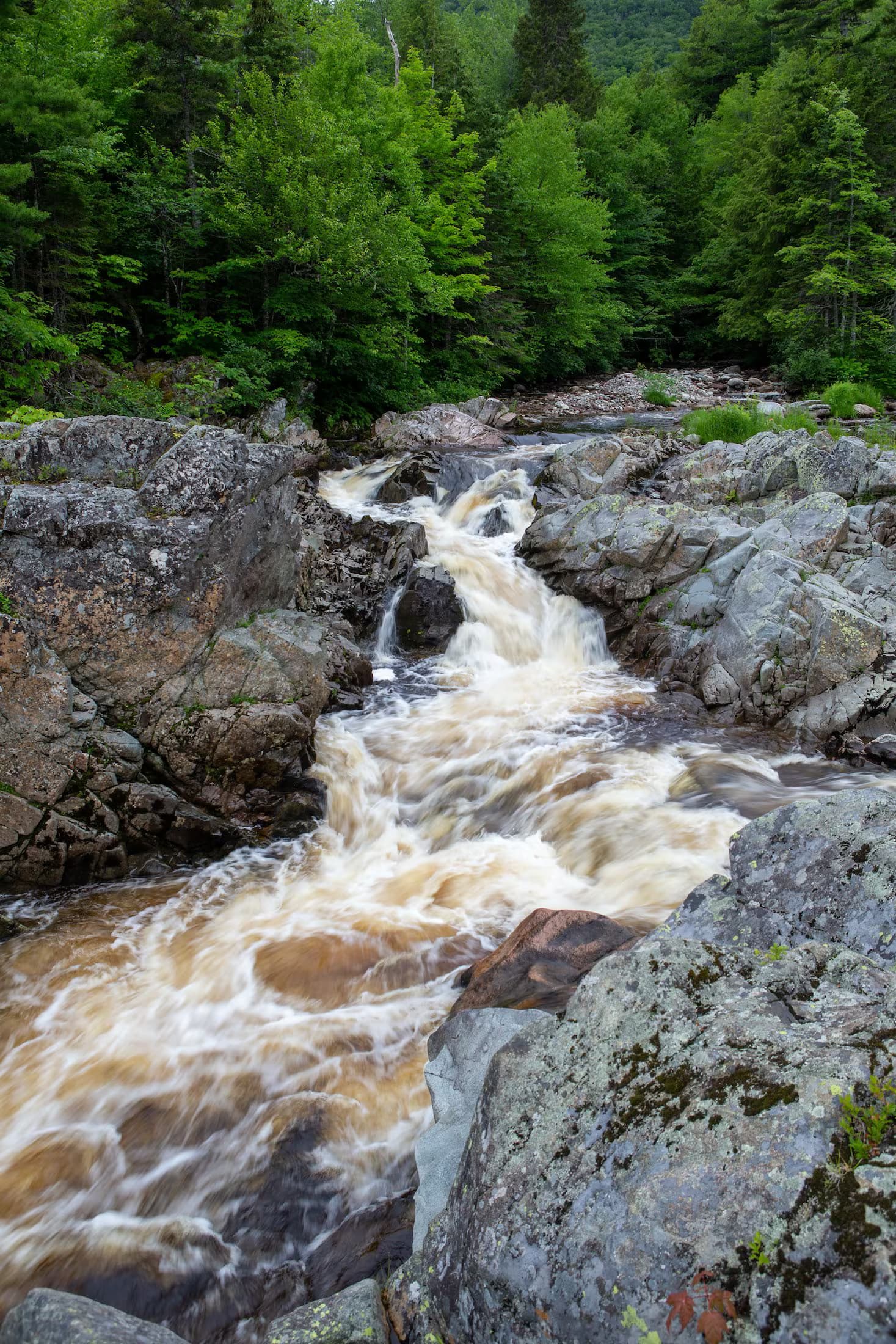 Lower North River Falls