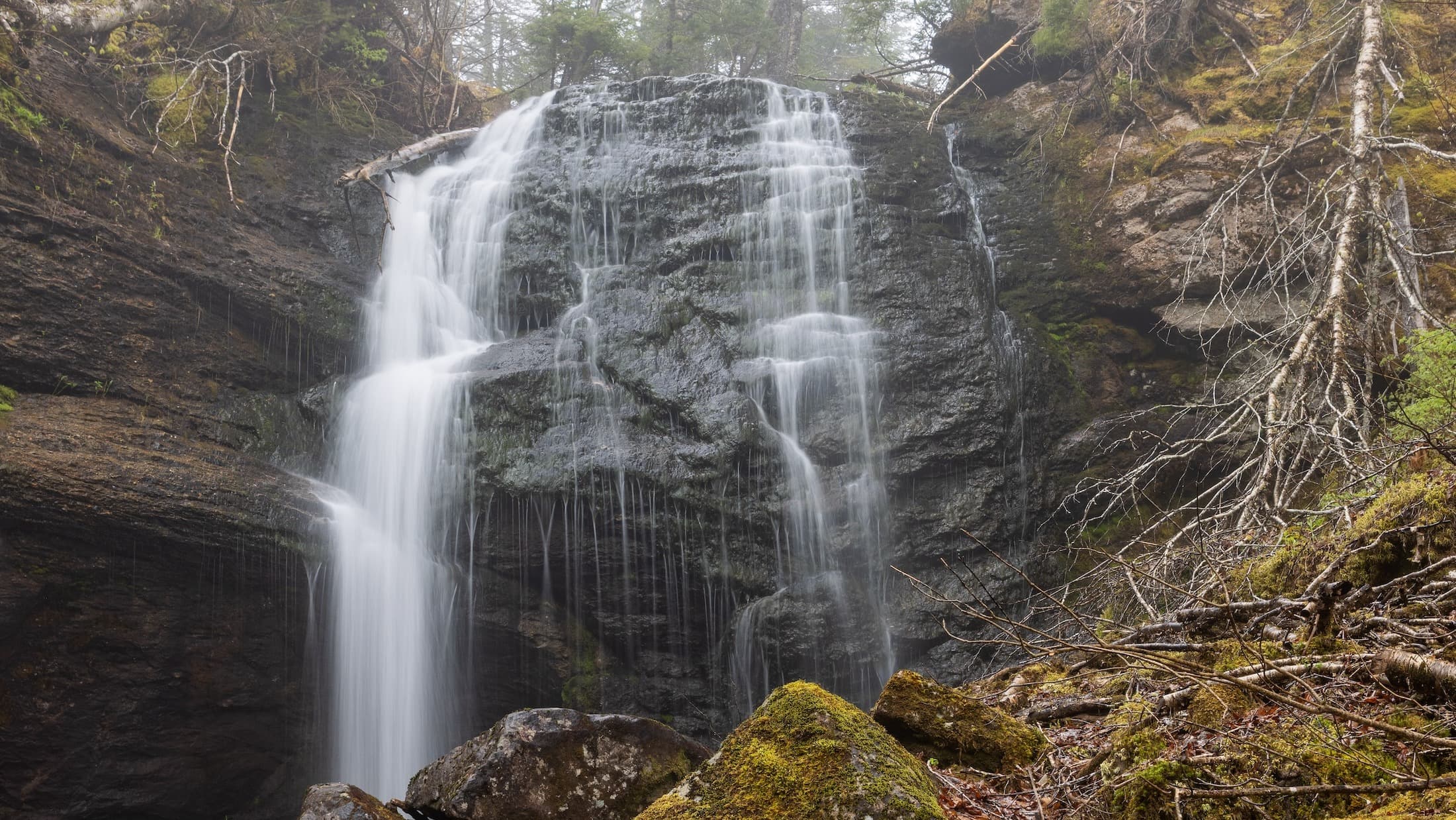 McNaughton’s Falls