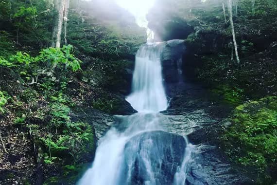 Myles Doyle Falls