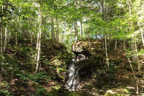 River Denys Mountain — attraction in Strait Area, Cape Breton