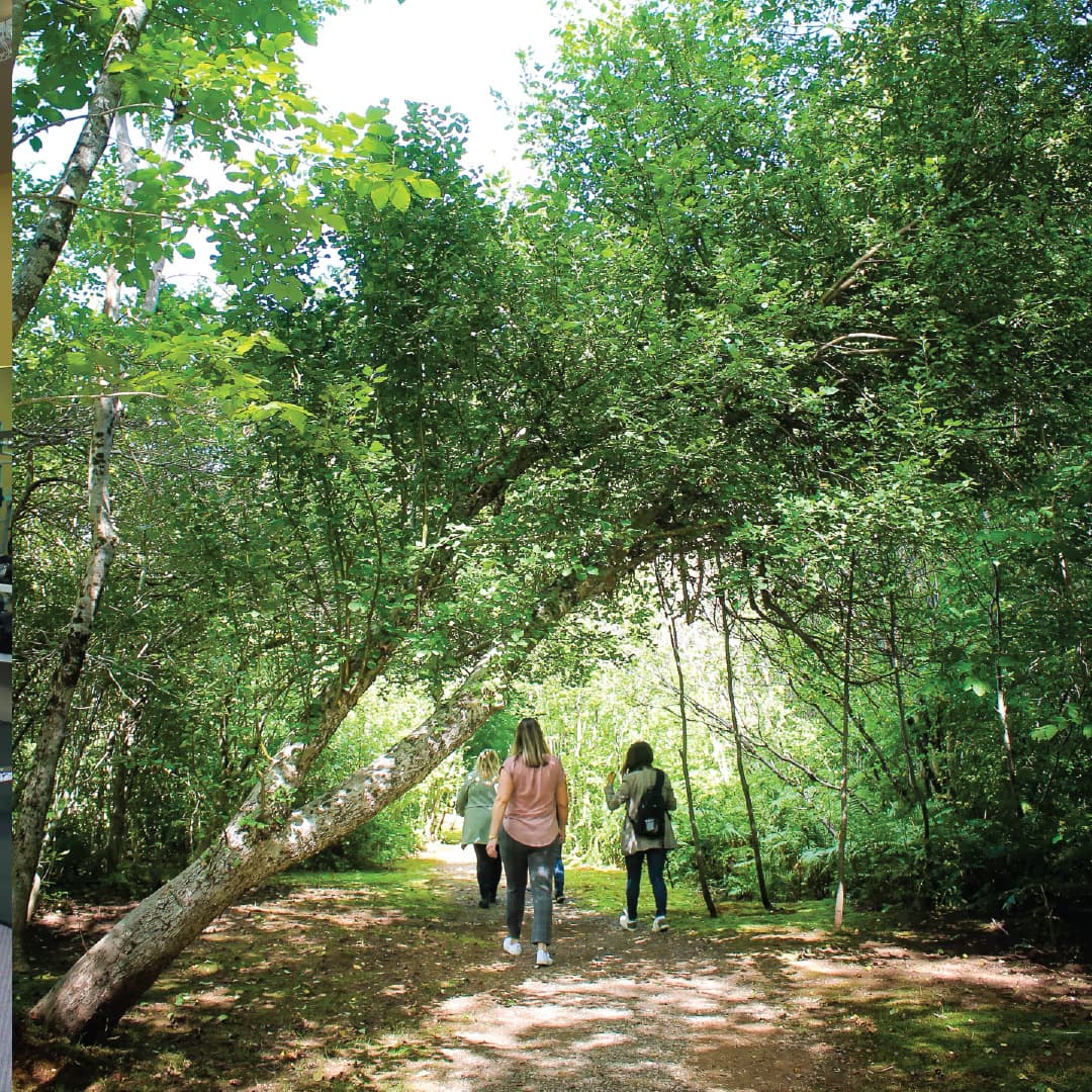 Skye River Trail