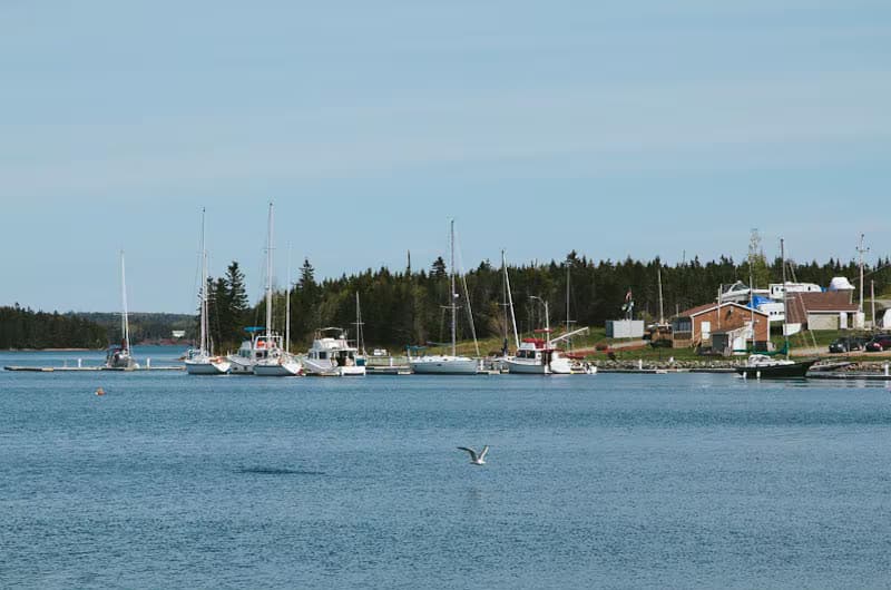 St. Peter’s Marina