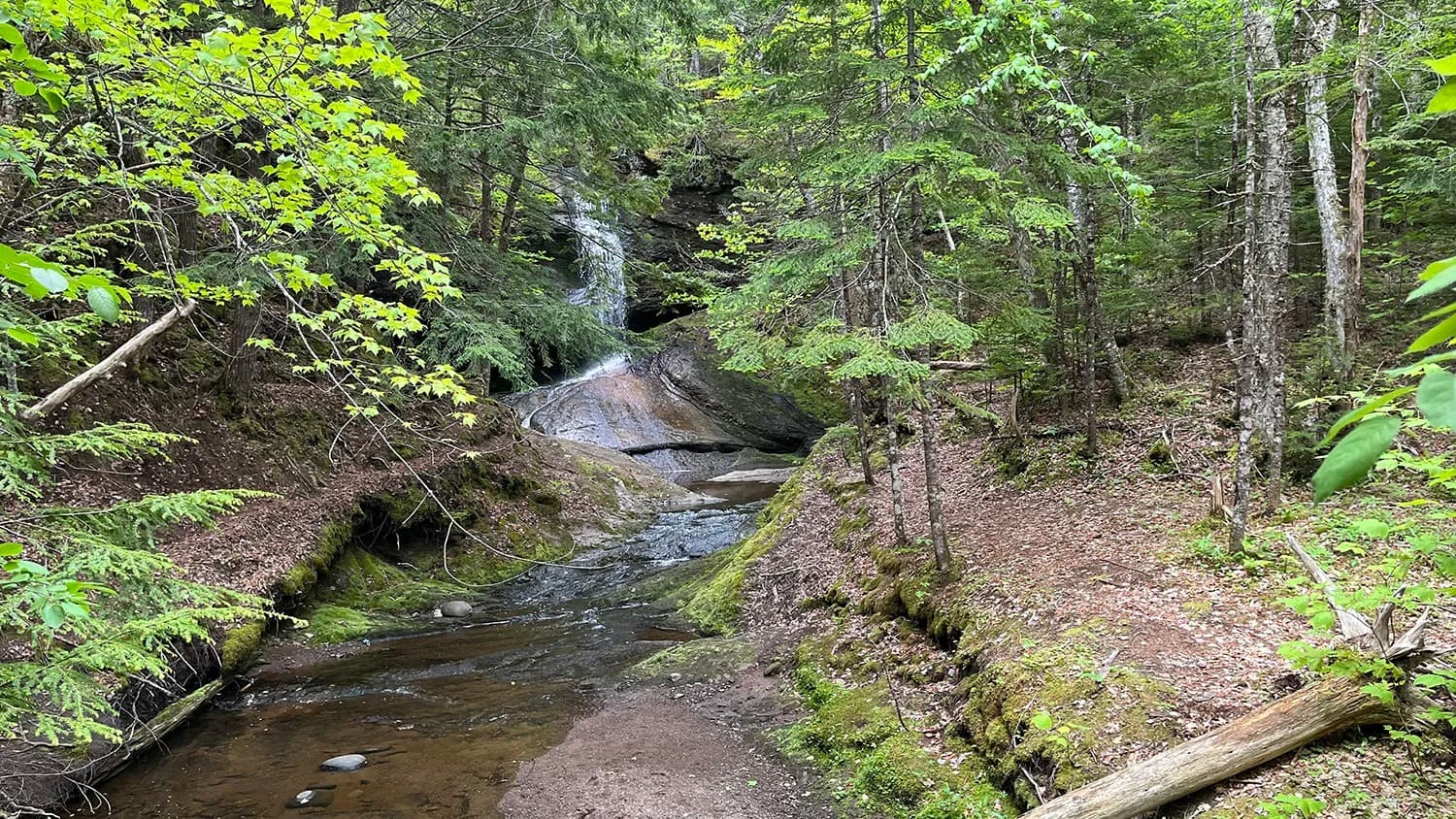 Cape Breton Cultural Walk Series: Gaelic Language and Lore – Aug 9 — event in Baddeck & Bras d'Or Lake, Cape Breton