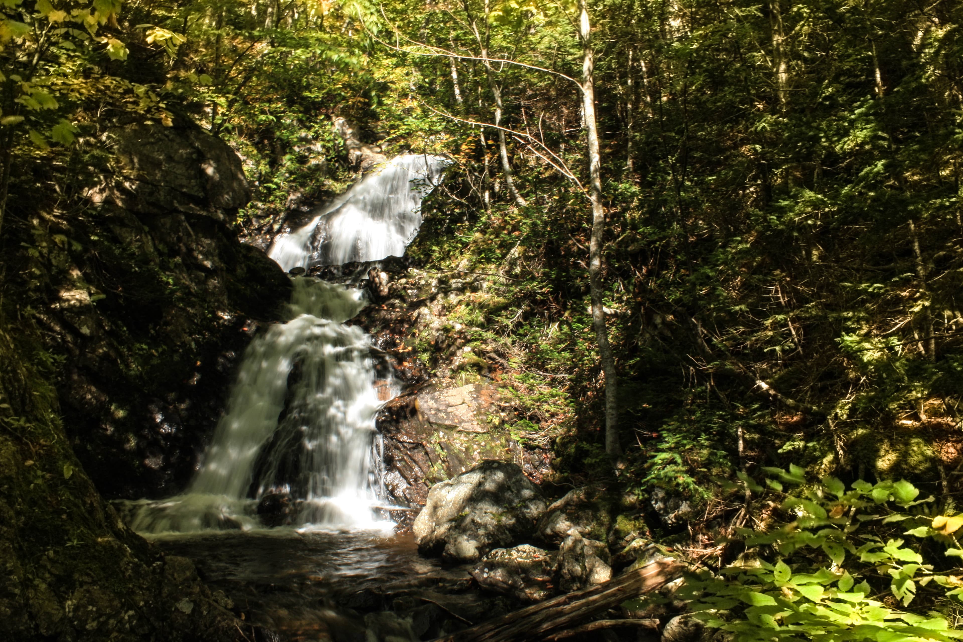 Roots to Boots Festival: Guided Hike at Corney Brook Trail — event in Chéticamp & Margaree, Cape Breton