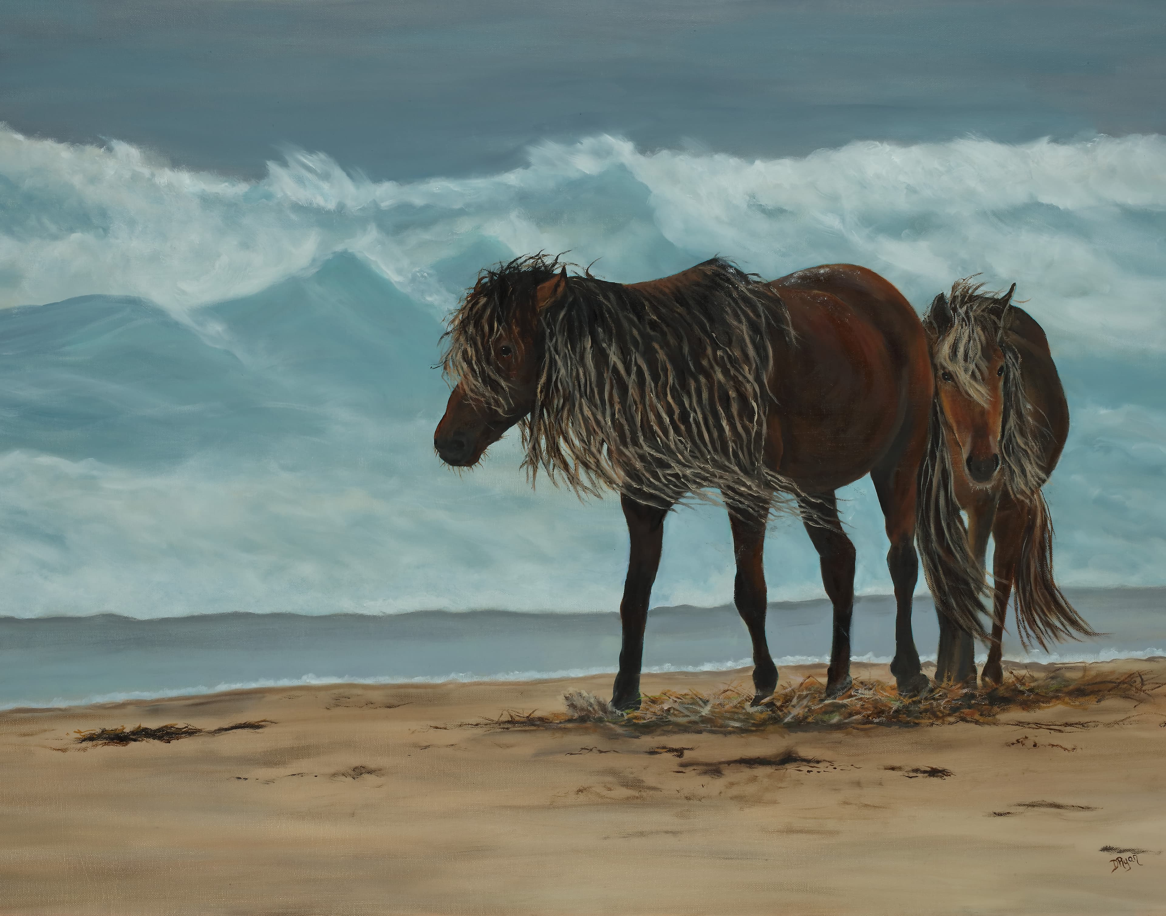 The Seaside Studio — attraction in Strait Area, Cape Breton