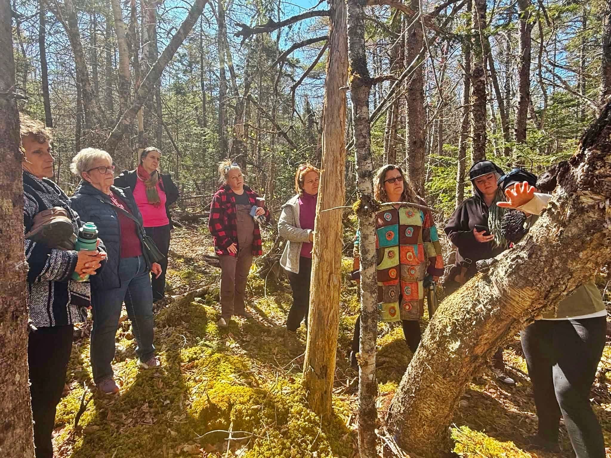 Guided Nature Immersions — attraction in Strait Area, Cape Breton