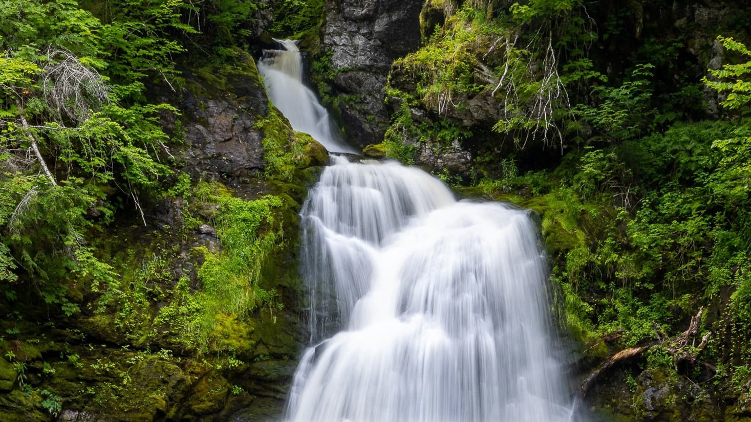 Guided Hike to Gairloch Mountain Falls and Egypt Falls