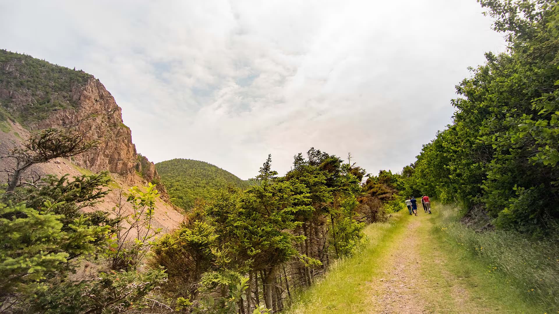 Le Buttereau Trail – Cape Breton Highlands National Park
