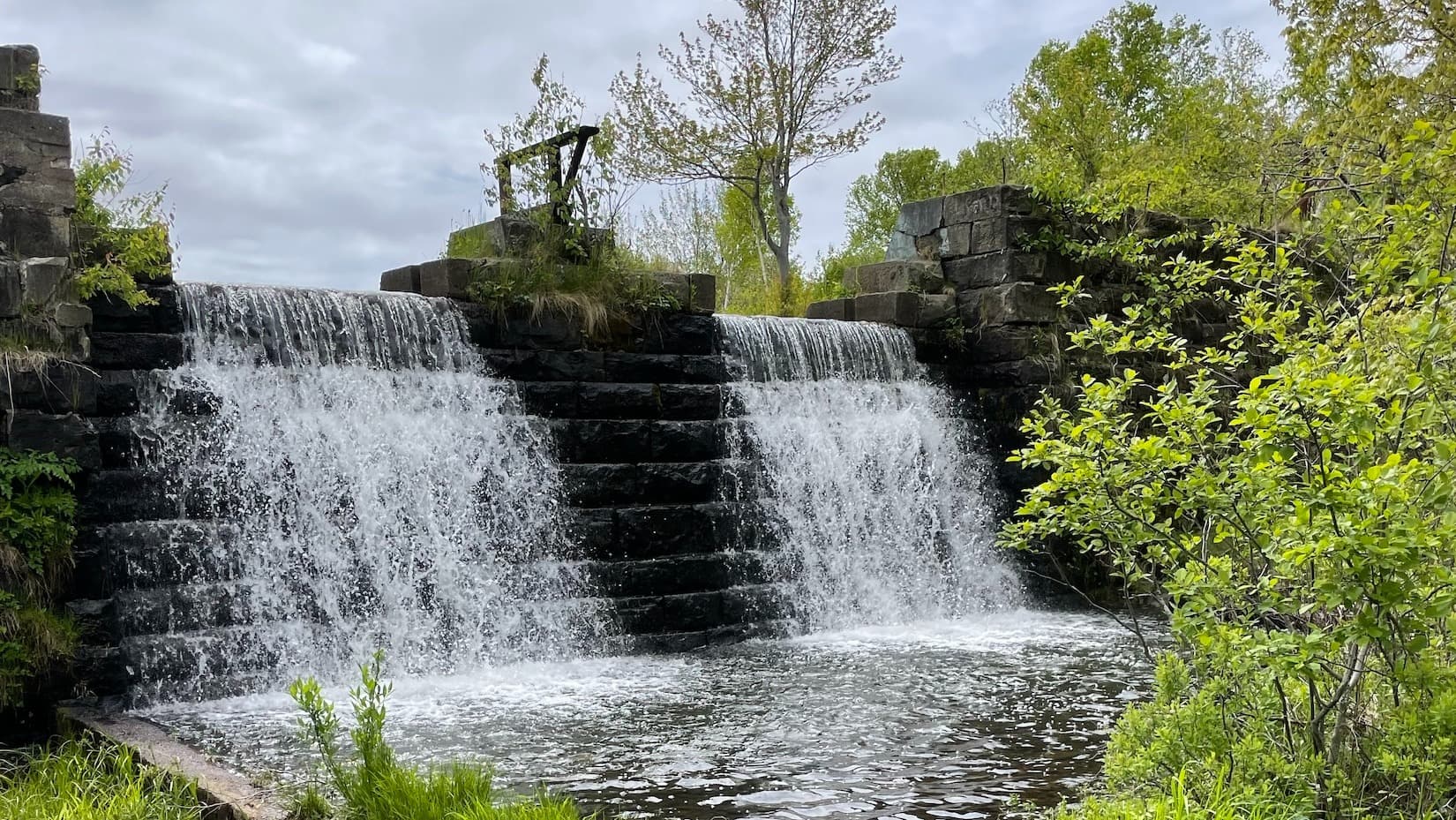 Medicine Walk to Greenlink Rotary Trail Falls with Jeff Ward