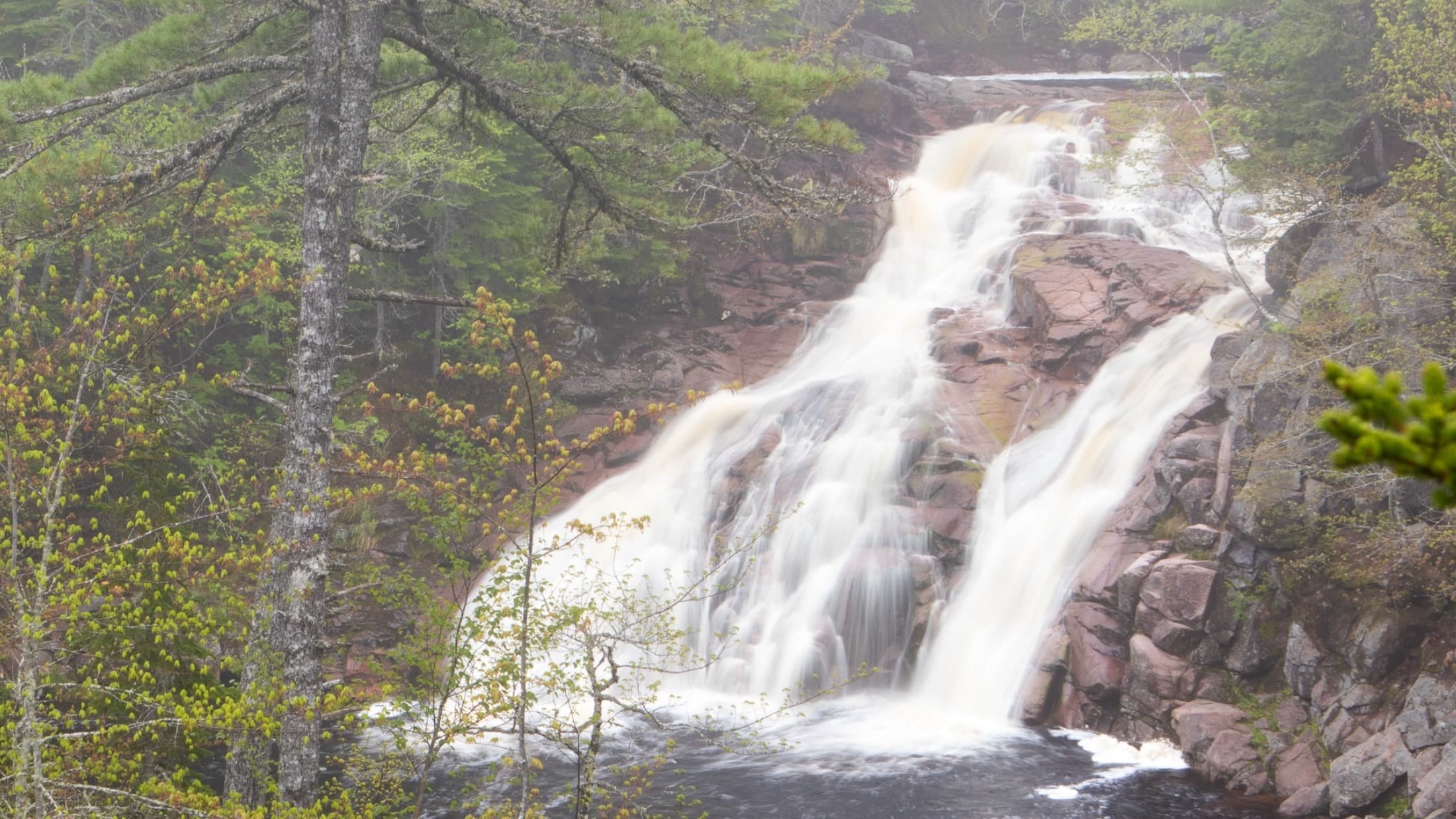 Watefall Season Group Hike – Mary Ann Falls Trail Grand Opening