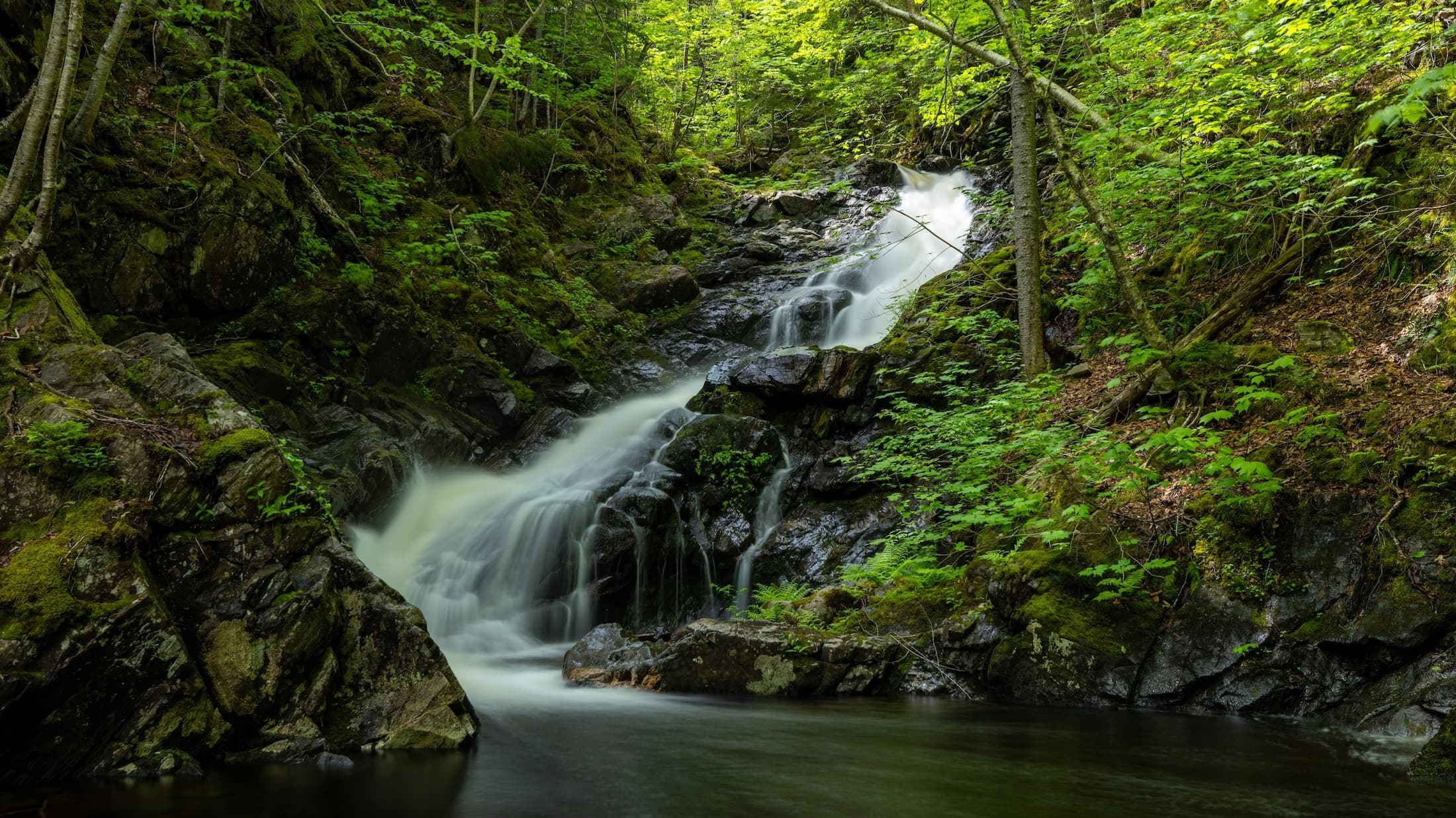 Waterfall Season Seniors Hike to MacIntosh Brook Falls
